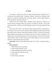 Verslo planas: soliariumo paslaugos UAB "Saulutė" 3 puslapis