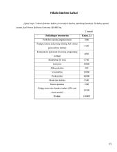 Verslo planas: sporto ir laisvalaikio apranga "Sport hope" filialas 11 puslapis