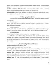 Verslo planas: sporto ir laisvalaikio apranga "Sport hope" filialas 6 puslapis