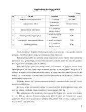 Verslo planas: sporto ir laisvalaikio apranga "Sport hope" filialas 9 puslapis