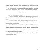 Verslo planas: sporto ir laisvalaikio apranga "Sport hope" filialas 10 puslapis