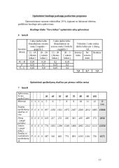 Verslo planas: sporto ir pramogų klubas UAB "Tavo laikas" 13 puslapis