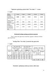 Verslo planas: sporto ir pramogų klubas UAB "Tavo laikas" 14 puslapis