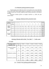 Verslo planas: sporto ir pramogų klubas UAB "Tavo laikas" 19 puslapis