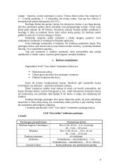 Verslo planas: sporto ir pramogų klubas UAB "Tavo laikas" 8 puslapis