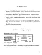 Verslo planas: sporto klubas "Aero sport" 17 puslapis