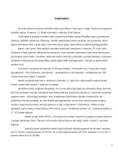 Verslo planas: sporto klubas "Aero sport" 3 puslapis