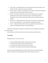 Verslo planas: sporto klubas "Aero sport" 5 puslapis