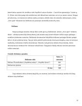 Verslo planas: sporto klubas "Aero sport" 10 puslapis