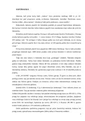 Verslo planas: šokolado kavinė UAB "Svajonė" 2 puslapis