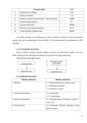 Verslo planas: šokolado kavinė UAB "Svajonė" 11 puslapis