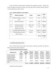 Verslo planas: šokolado kavinė UAB "Svajonė" 12 puslapis