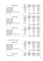 Verslo planas: šokolado kavinė UAB "Svajonė" 13 puslapis