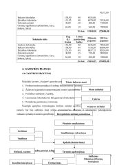 Verslo planas: šokolado kavinė UAB "Svajonė" 14 puslapis