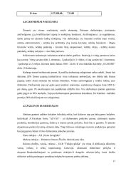 Verslo planas: šokolado kavinė UAB "Svajonė" 17 puslapis