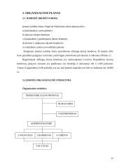 Verslo planas: šokolado kavinė UAB "Svajonė" 19 puslapis