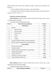 Verslo planas: šokolado kavinė UAB "Svajonė" 9 puslapis