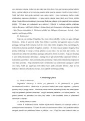 Verslo planas: telekomunikacijų įmonė 4 puslapis