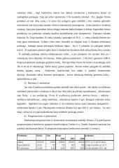 Verslo planas: telekomunikacijų įmonė 5 puslapis