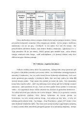 Verslo planas: telekomunikacijų įmonė 7 puslapis