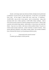 Verslo planas: telekomunikacijų įmonė 10 puslapis