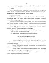 Verslo planas: užkandinė "Karštis" 11 puslapis