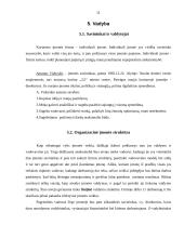 Verslo planas: užkandinė "Karštis" 12 puslapis