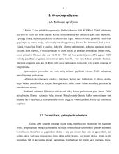 Verslo planas: užkandinė "Karštis" 3 puslapis