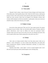 Verslo planas: užkandinė "Karštis" 9 puslapis