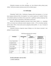 Verslo planas: užkandinė "Karštis" 10 puslapis