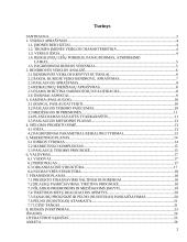 Verslo planas: užsienio kalbų mokymas UAB "Šnekučiai"