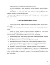 Verslo planas: užsienio kalbų mokymas UAB "Šnekučiai" 11 puslapis