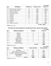 Verslo planas: užsienio kalbų mokymas UAB "Šnekučiai" 18 puslapis