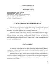 Verslo planas: užsienio kalbų mokymas UAB "Šnekučiai" 3 puslapis