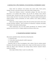 Verslo planas: užsienio kalbų mokymas UAB "Šnekučiai" 4 puslapis