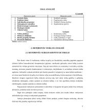 Verslo planas: užsienio kalbų mokymas UAB "Šnekučiai" 5 puslapis