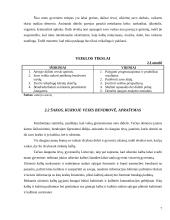 Verslo planas: užsienio kalbų mokymas UAB "Šnekučiai" 6 puslapis