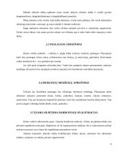 Verslo planas: užsienio kalbų mokymas UAB "Šnekučiai" 7 puslapis