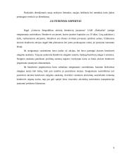 Verslo planas: užsienio kalbų mokymas UAB "Šnekučiai" 8 puslapis