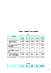 Verslo planas: vaikių priežiūra IĮ "Mama-Mia" 12 puslapis