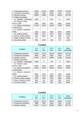 Verslo planas: vaikių priežiūra IĮ "Mama-Mia" 13 puslapis