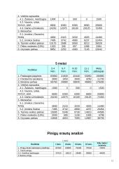 Verslo planas: vaikių priežiūra IĮ "Mama-Mia" 14 puslapis