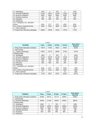 Verslo planas: vaikių priežiūra IĮ "Mama-Mia" 15 puslapis