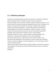 Verslo planas: vaikių priežiūra IĮ "Mama-Mia" 3 puslapis