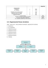 Verslo planas: vaikių priežiūra IĮ "Mama-Mia" 8 puslapis