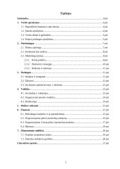 Verslo planas: verslo rizikos draudimo paslaugos UAB "Rizika" 2 puslapis