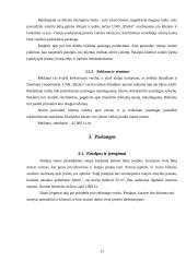 Verslo planas: verslo rizikos draudimo paslaugos UAB "Rizika" 11 puslapis