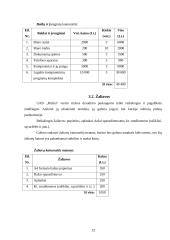 Verslo planas: verslo rizikos draudimo paslaugos UAB "Rizika" 12 puslapis