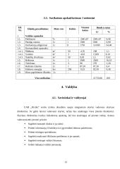 Verslo planas: verslo rizikos draudimo paslaugos UAB "Rizika" 13 puslapis