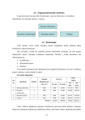 Verslo planas: verslo rizikos draudimo paslaugos UAB "Rizika" 14 puslapis